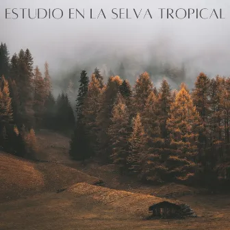 Estudio En La Selva Tropical by Relajante Estudiar Musica Retro