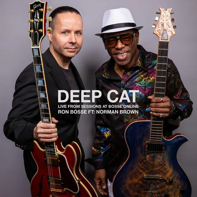 Deep Cat - LIVE from Sessions at Bosse Online