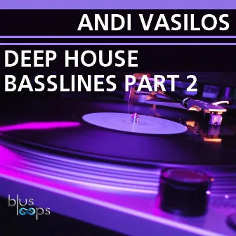 Deep House Bass Lines Part 2 by Andi Vasilos