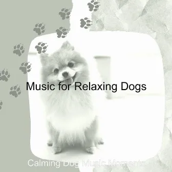 Music for Relaxing Dogs by 