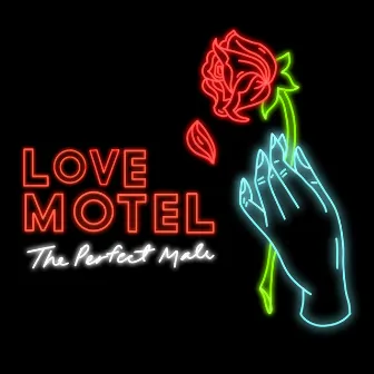 The Perfect Male by Love Motel