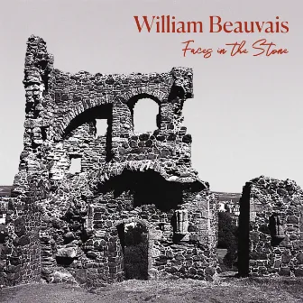 Faces in the Stone by William Beauvais