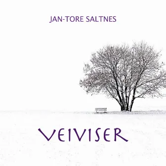 Veiviser by Jan-Tore Saltnes