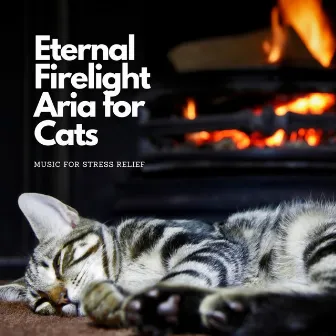 Eternal Firelight Aria for Cats: Music for Stress Relief by Cat Music Stevens