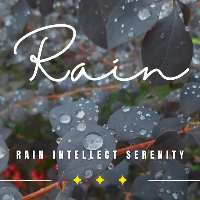 Rain Intellect Serenity