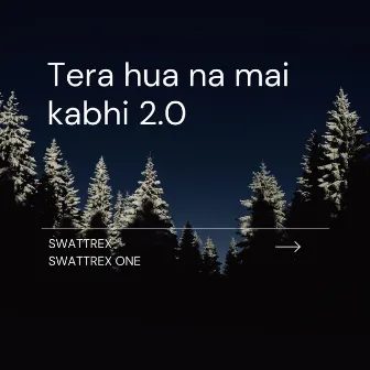 Tera hua na mai kabhi 2.0 by Swattrex