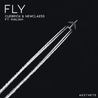 Fly by Newclaess