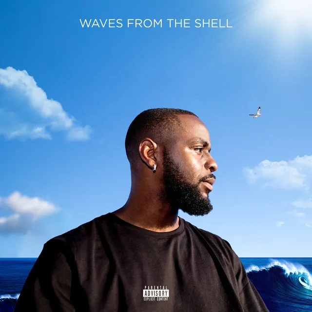 Waves from the Shell