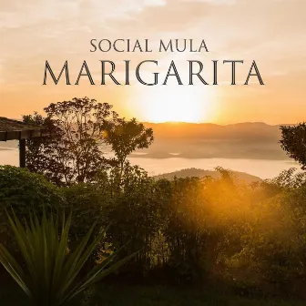 Marigarita by Social Mula