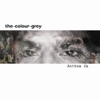 The Colour Grey by Anthem 2k