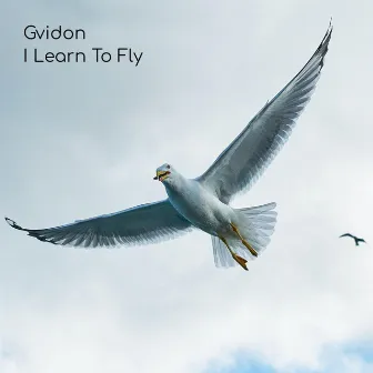 I Learn To Fly by Gvidon