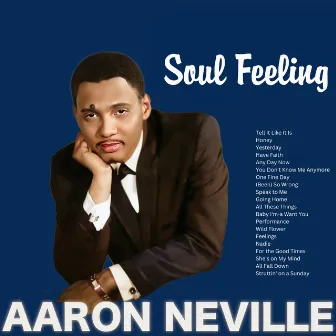 Soul Feeling by Aaron Neville