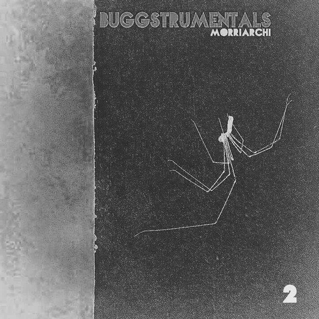 Buggstrumentals 2 (Instrumental)