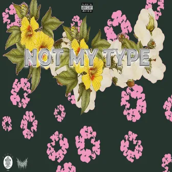 NOT MY TYPE by Hersh Myls