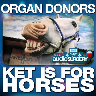 Ket Is for Horses by Organ Donors