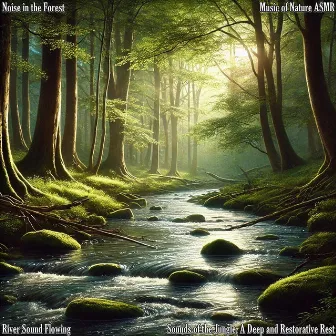 Sounds of the Jungle, a Deep and Restorative Rest by Music of Nature ASMR