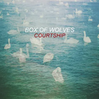 Courtship by Box Of Wolves