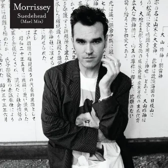 Suedehead (Mael Mix) by Morrissey