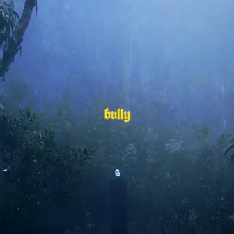 bully by not yes