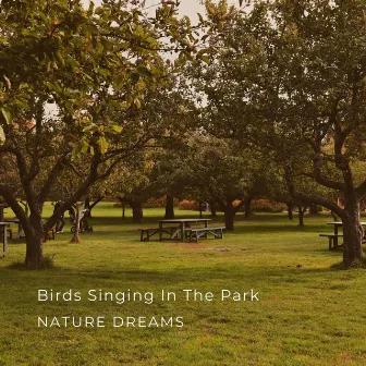 Birds Singing In The Park by Nature Dreams