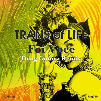 Foi Voce (Remix) by Trans Of Life