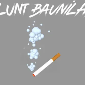 Blunt Baunilha by Naik