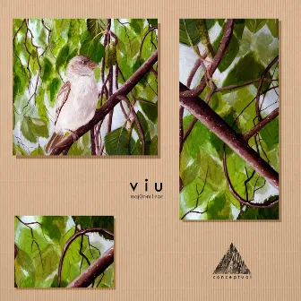 Viu by Major-Minor