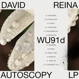 Autoscopy LP by David Reina