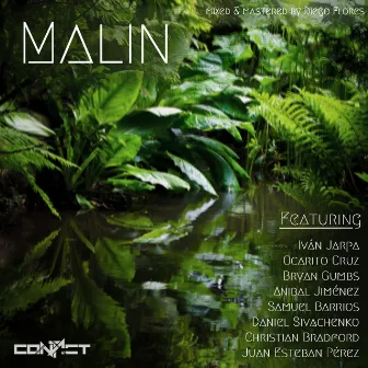 Malin by Contact