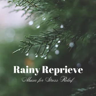 Rainy Reprieve: Music for Stress Relief by Rainy Lullaby