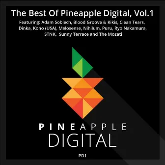 The Best of Pineapple Digital, Vol. 1 by Dinka