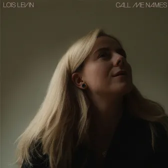 Call Me Names by Lois Levin