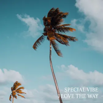 I Love the Way by Special Vibe