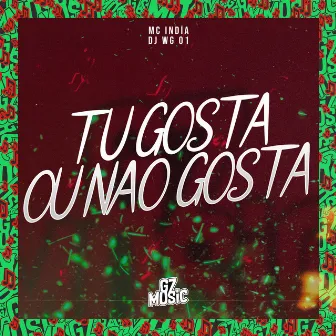 Tu Gosta ou Não Gosta by DJ WG 017