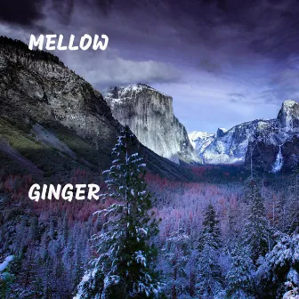 Ginger by Mellow