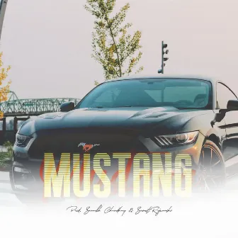 Mustang by Sumit Rajwanshi