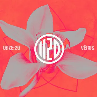 Vênus by Onze:20