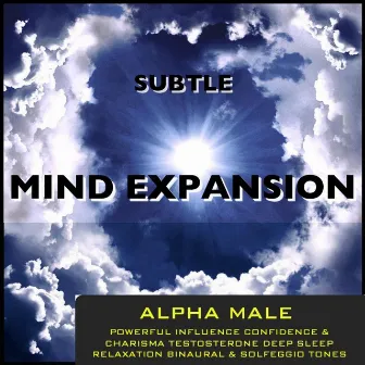 Alpha Male Powerful Influence Confidence & Charisma Testosterone Deep Sleep Relaxation Binaural Beats & Solfeggio Tones by Subtle Mind Expansion