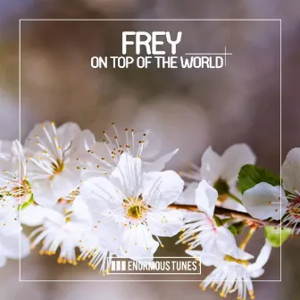 On Top of the World by FREY