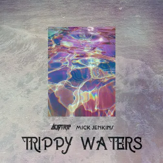 Trippy Waters (feat. Mick Jenkins) by Acidtrip