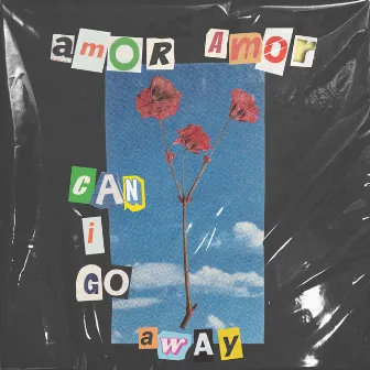 Can I Go Away by Amor Amor