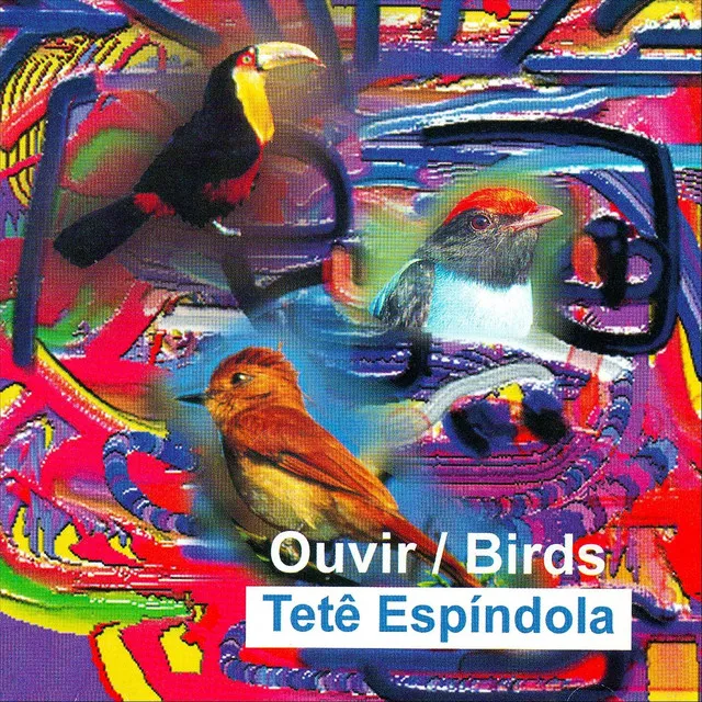 Ouvir / Birds