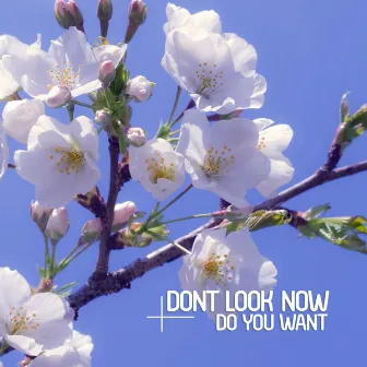 Do You Want by Dont Look Now