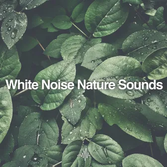 White Noise Nature Sounds for Sleep, Meditation, and Relaxation by Dream Frequency