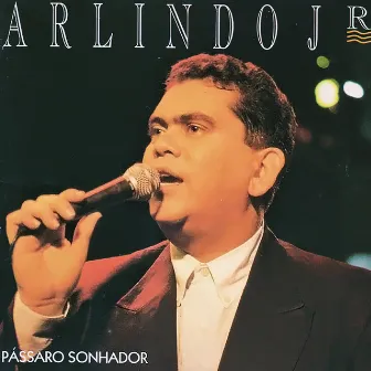 Pássaro Sonhador by Arlindo Junior