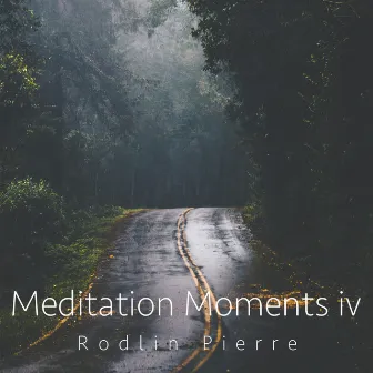 Meditation Moments iV by Rodlin Pierre