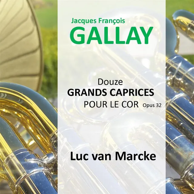 Douze Grands Caprices, Op. 32: 7. Caprice - Allegretto moderato