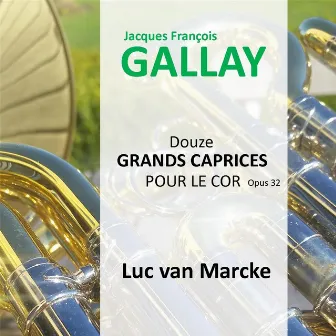 Douze Grands Caprices pour le cor by Luc Van Marcke