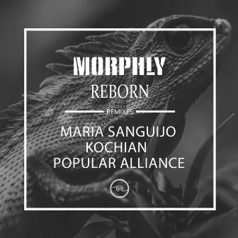 Reborn by Morphly