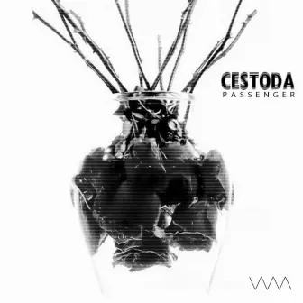 Passenger - EP by Cestoda